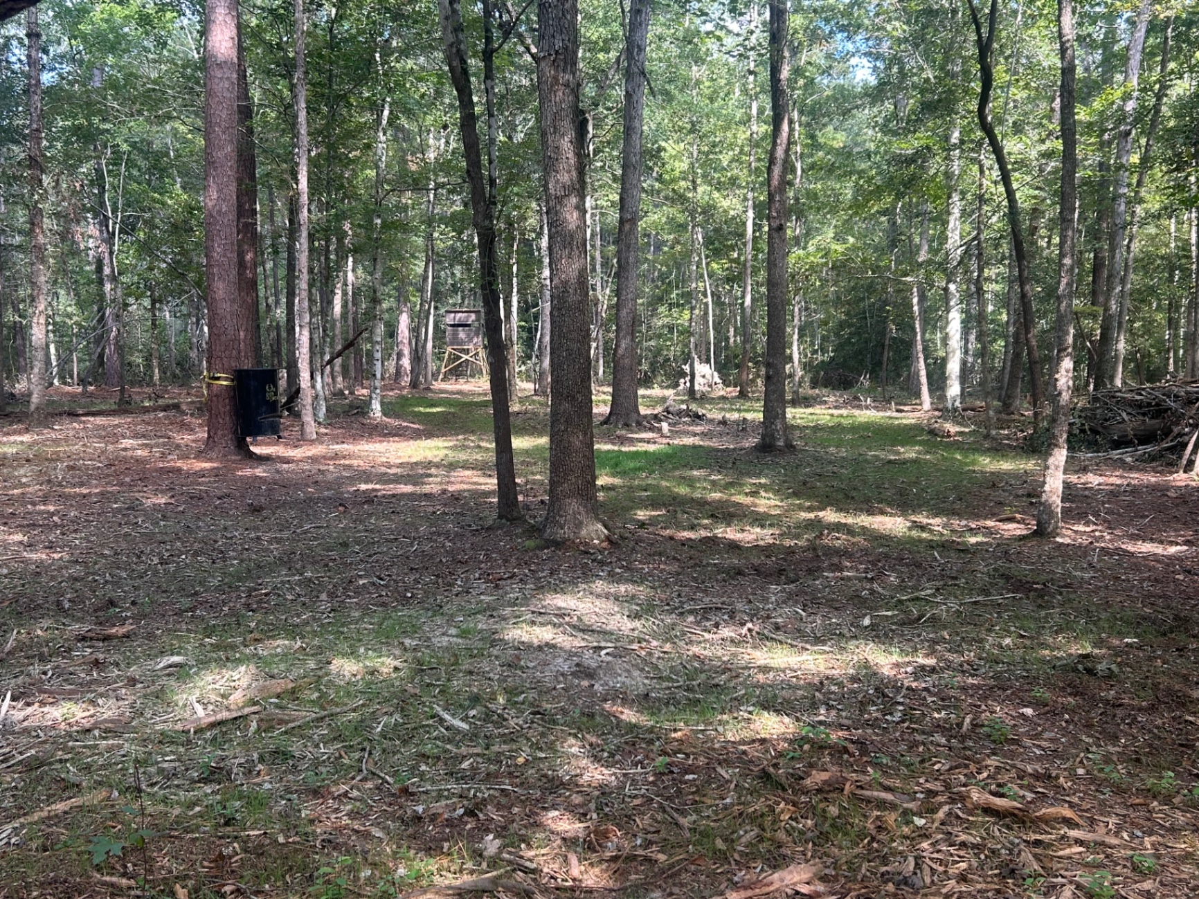 Prepared field ready for a wildlife food plot project